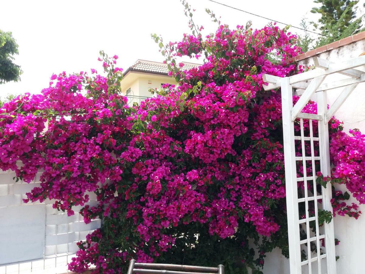 Casa Agrumeto - Locazione Turistica Mondello Ngoại thất bức ảnh