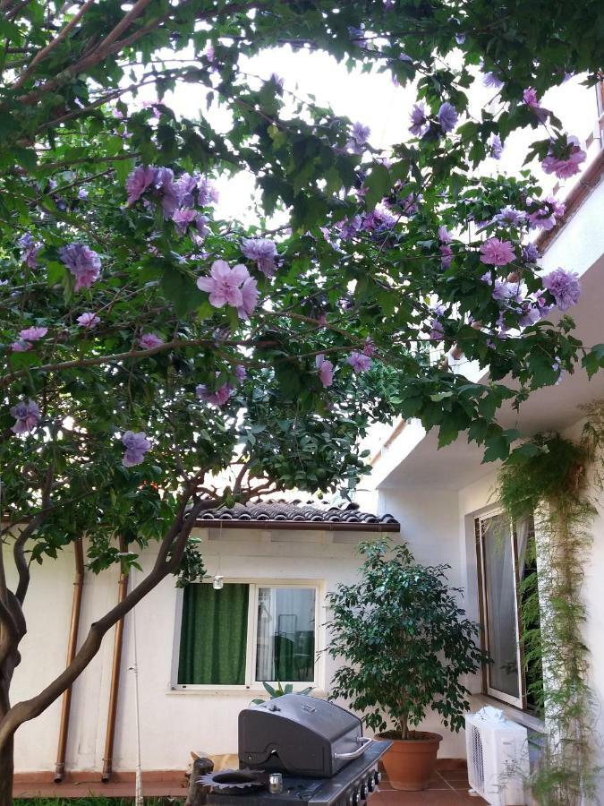 Casa Agrumeto - Locazione Turistica Mondello Ngoại thất bức ảnh